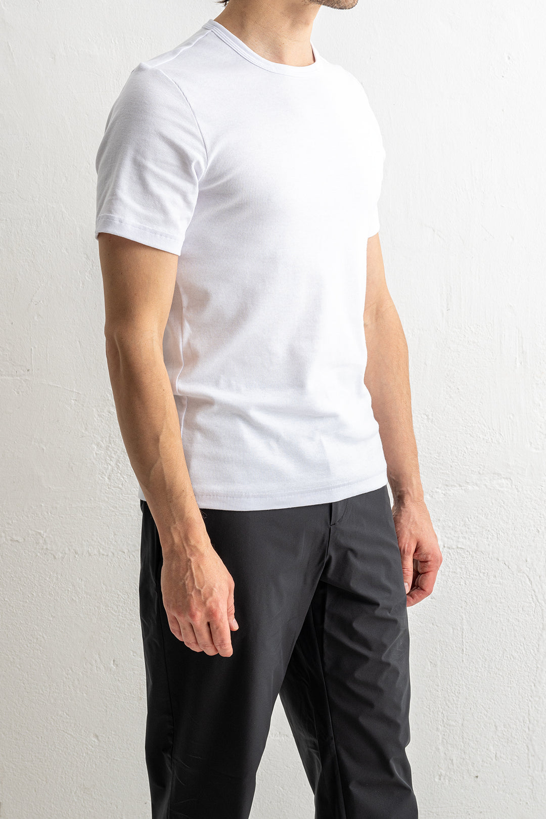 Brandy SS 3206 White