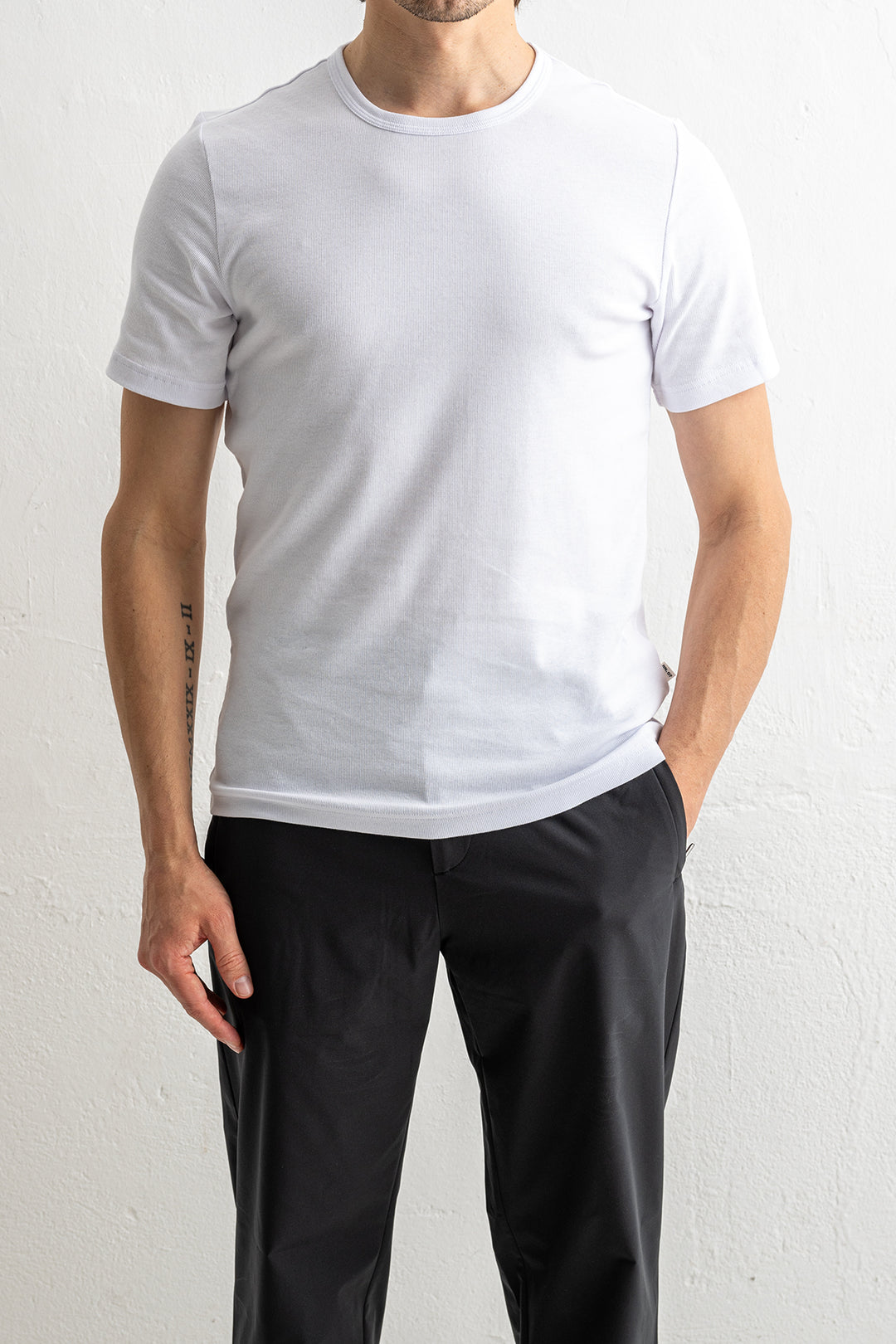 Brandy SS 3206 White