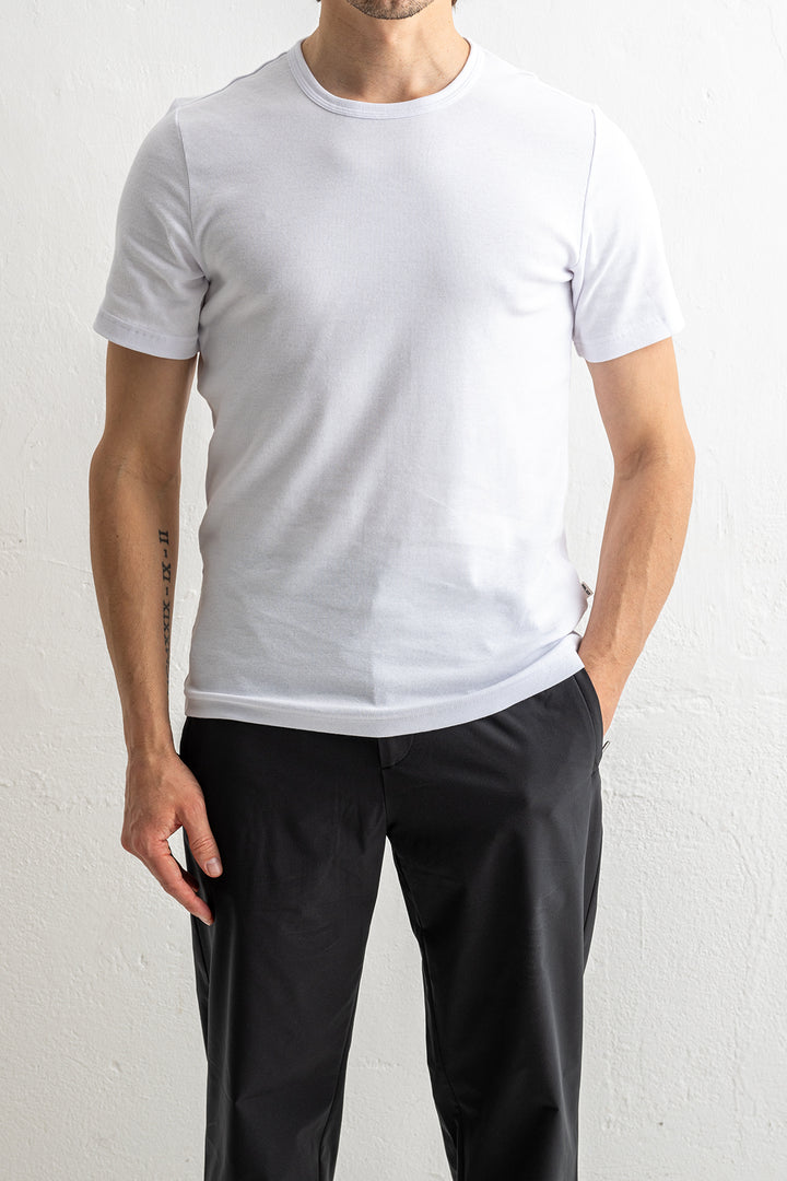 Brandy SS 3206 White