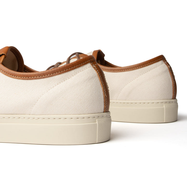LIMITED EDITION CANVAS SNEAKER OAT