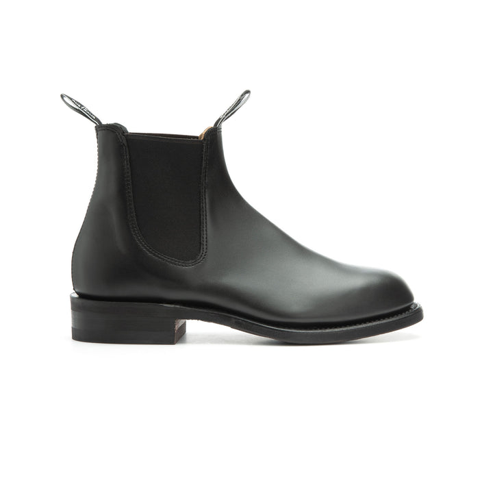WENTWORTH G YEARLING BLACK