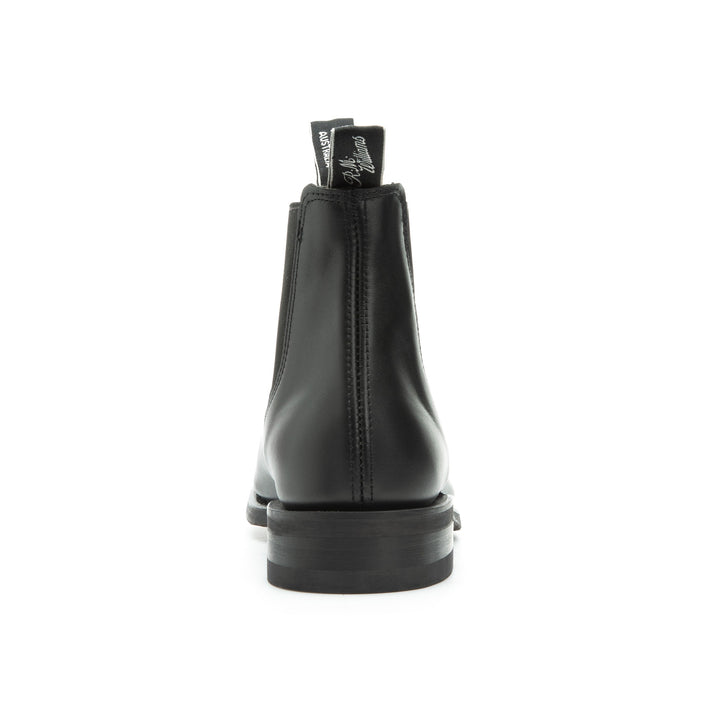 WENTWORTH G YEARLING BLACK